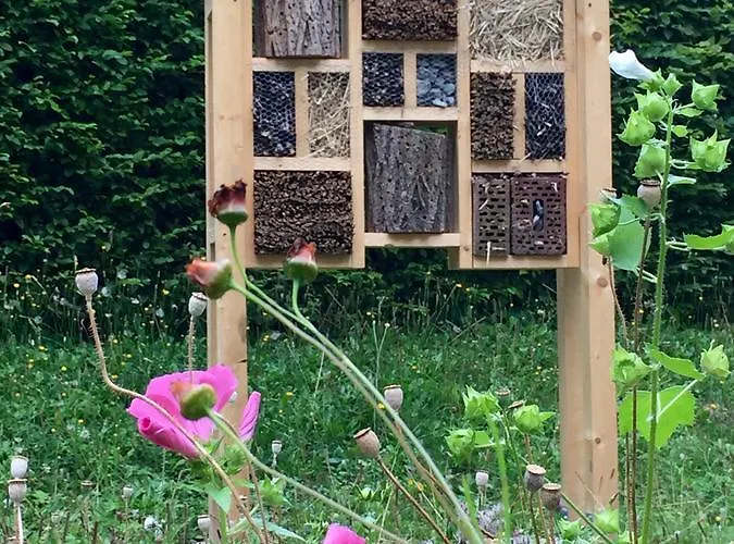 Akademie Der Dioezese 3*