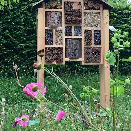 Akademie Der Dioezese 3*